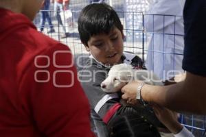 JORNADA DE ADOPCIÓN DE ANIMALES