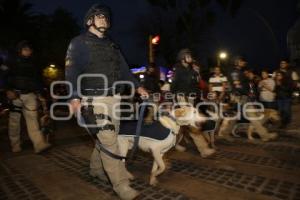 DESFILE . REYES MAGOS