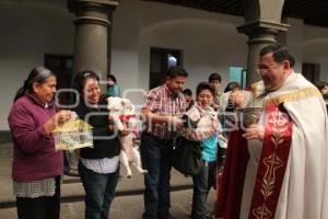 BENDICIÓN DE MASCOTAS