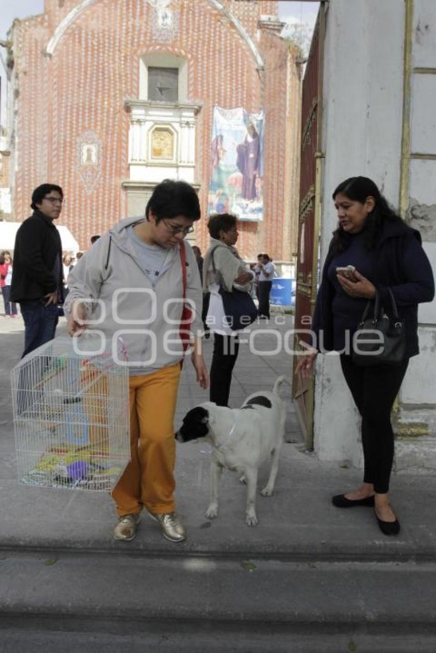 BENDICIÓN DE MASCOTAS