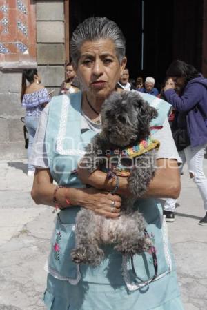 BENDICIÓN DE MASCOTAS