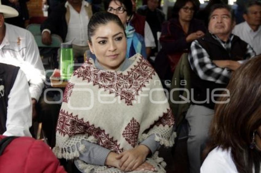 MORENA . CONSEJO ESTATAL