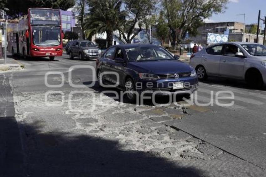 BACHES