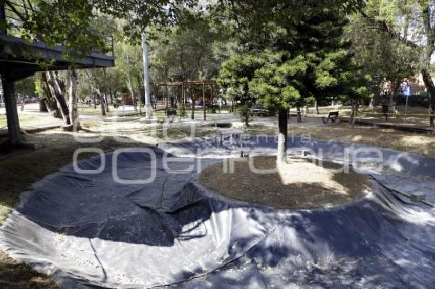 PARQUE JUÁREZ . ESPEJO DE AGUA