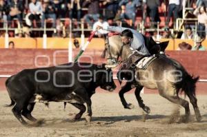 REJONEADOR . DIEGO VENTURA