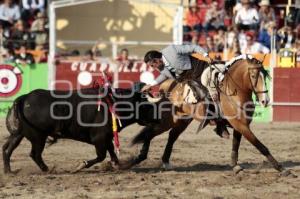 REJONEADOR . DIEGO VENTURA