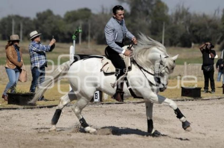 REJONEADOR . DIEGO VENTURA