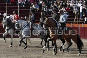 REJONEADOR . DIEGO VENTURA