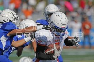 FUTBOL AMERICANO . BORREGOS VS HALCONES