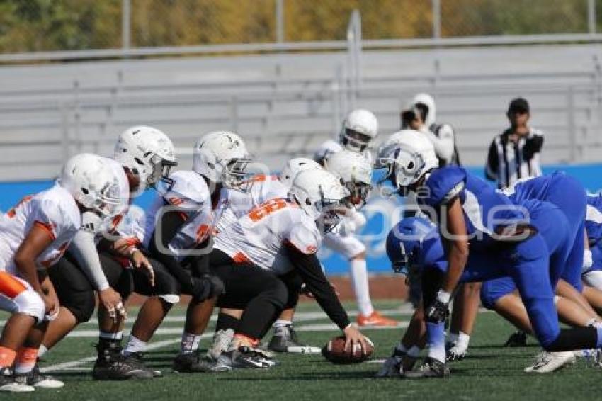 FUTBOL AMERICANO . BORREGOS VS HALCONES