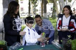 GOBIERNO MUNICIPAL . PABELLON PUEBLA ACTIVA