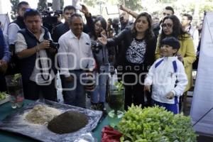 GOBIERNO MUNICIPAL . PABELLON PUEBLA ACTIVA