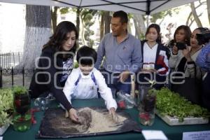 GOBIERNO MUNICIPAL . PABELLON PUEBLA ACTIVA