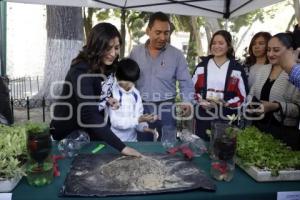 GOBIERNO MUNICIPAL . PABELLON PUEBLA ACTIVA