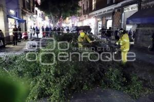 CAÍDA ÁRBOL 10 PONIENTE