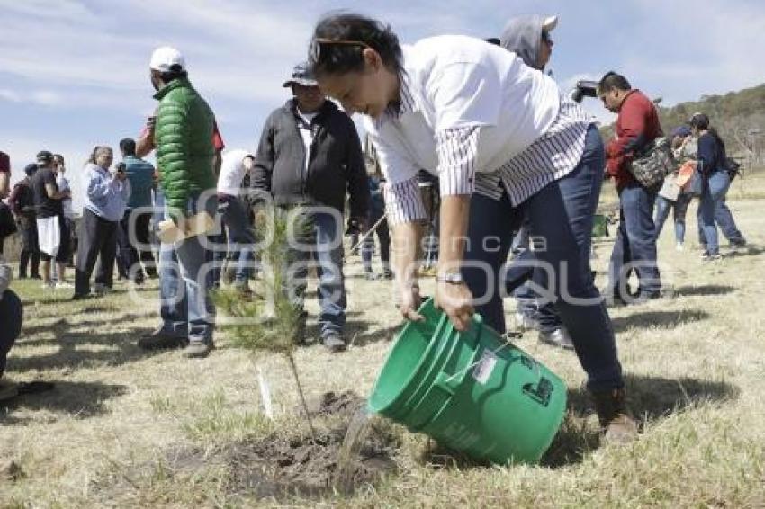 JORNADA CERRO AMALUCAN