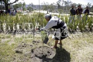 JORNADA CERRO AMALUCAN