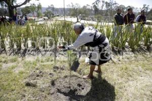 JORNADA CERRO AMALUCAN