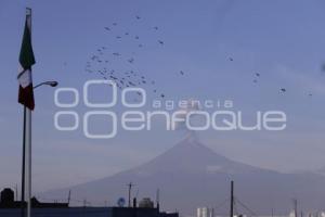 VOLCÁN POPOCATÉPETL . FUMAROLA