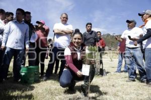 JORNADA CERRO AMALUCAN