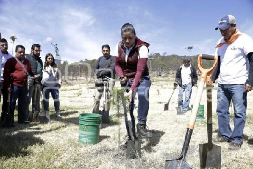 JORNADA CERRO AMALUCAN