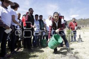 JORNADA CERRO AMALUCAN