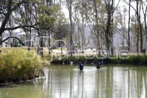 JORNADA CERRO AMALUCAN