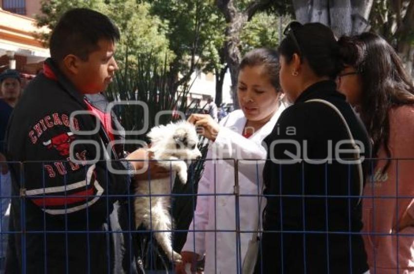 JORNADA ADOPCIÓN DE ANIMALES