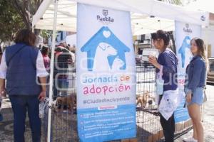 JORNADA ADOPCIÓN DE ANIMALES