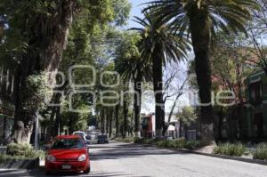 AVENIDA JUÁREZ