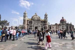 PEREGRINACIÓN BASÍLICA DE GUADALUPE