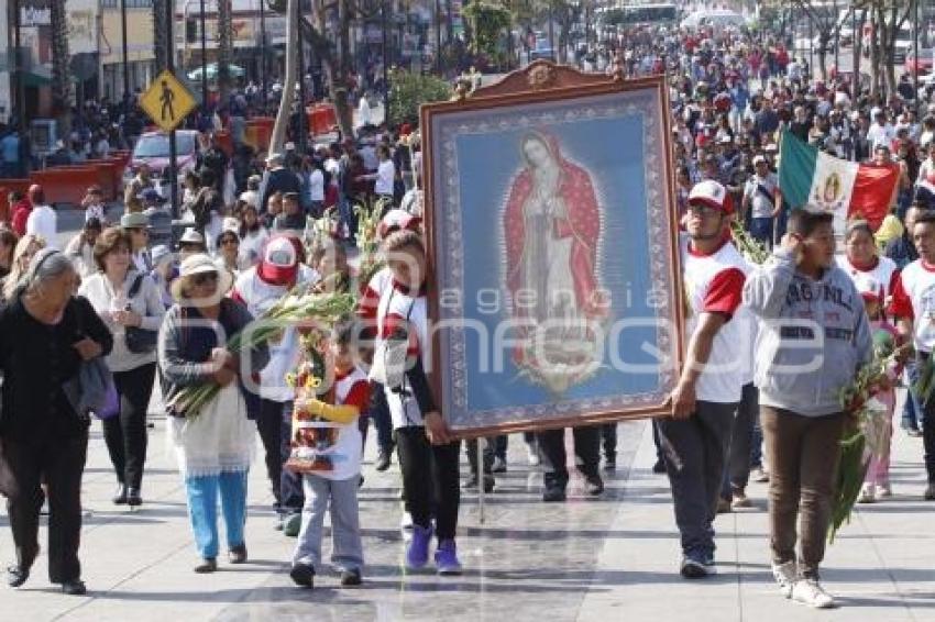 PEREGRINACIÓN BASÍLICA DE GUADALUPE