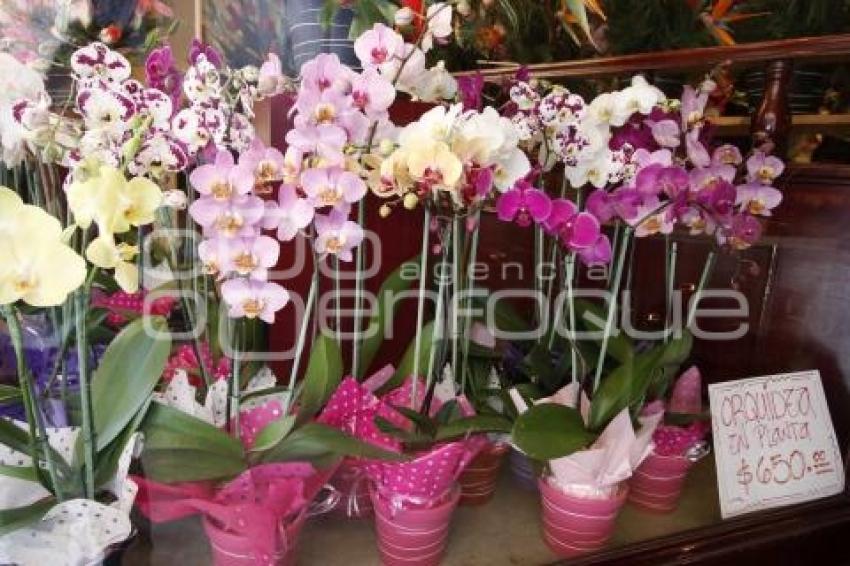 VENTA DE FLORES