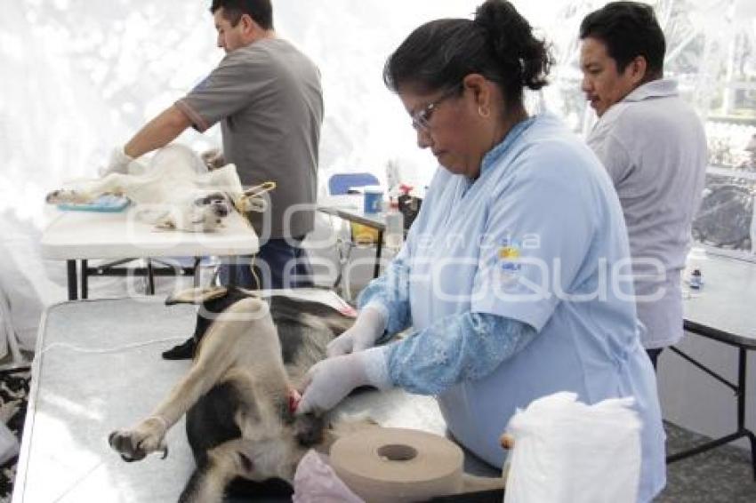 JORNADA DE ESTERILIZACIÓN