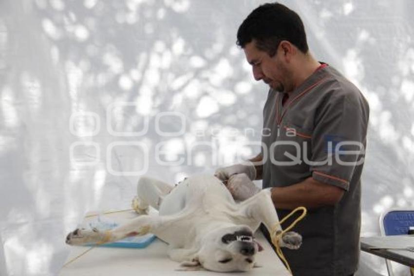 JORNADA DE ESTERILIZACIÓN