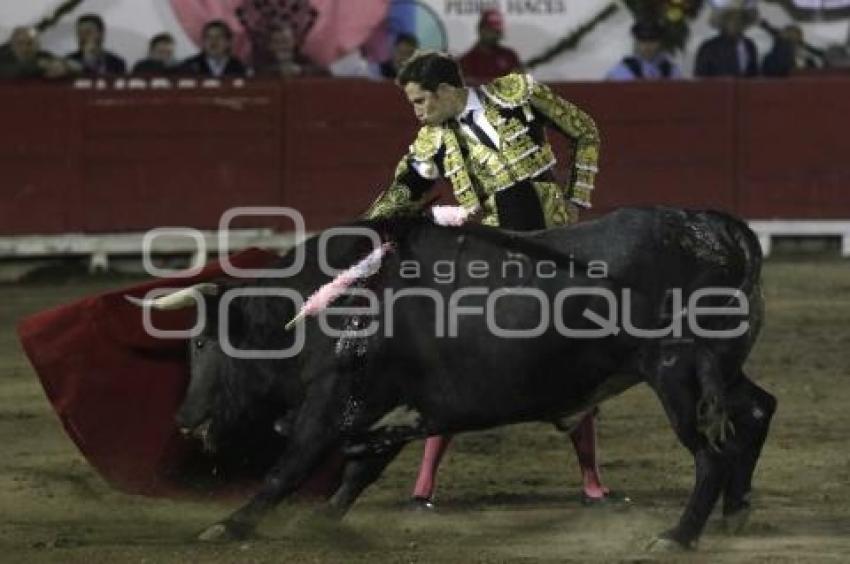 TOROS . ARTURO SALDIVAR