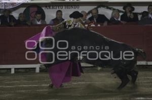 TOROS . ARTURO SALDIVAR