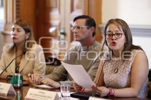 REGIDORES . PLAN ANUAL COMISIÓN EDUCACIÓN