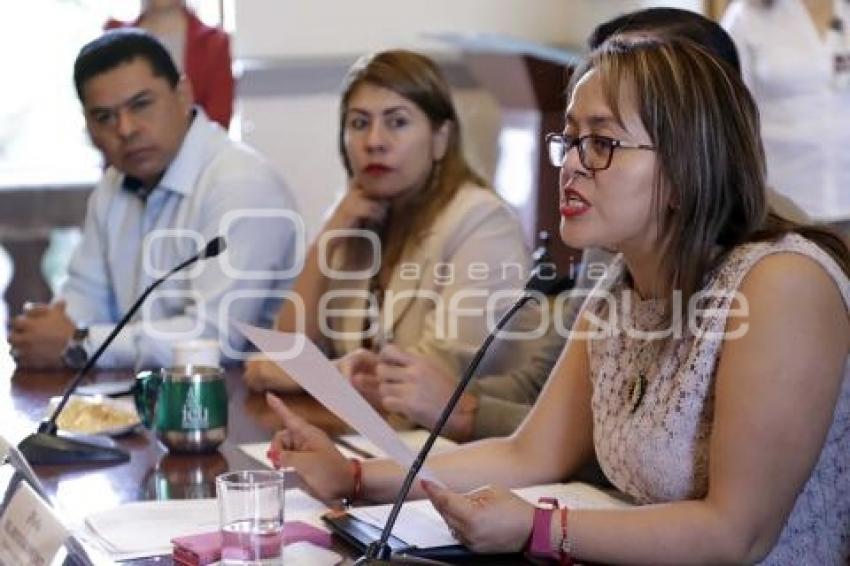 REGIDORES . PLAN ANUAL COMISIÓN EDUCACIÓN