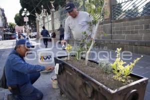 MANTENIMIENTO ÁREAS VERDES