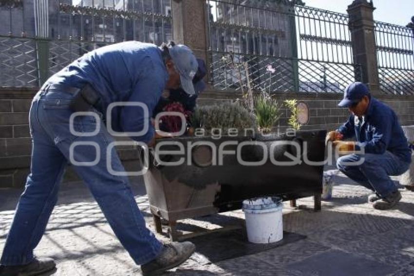 MANTENIMIENTO ÁREAS VERDES