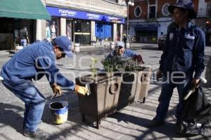 MANTENIMIENTO ÁREAS VERDES