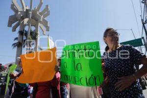 MANIFESTACIÓN . LA MARGARITA