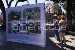 EXPOSICIÓN EL IMPULSO DE LA MIRADA