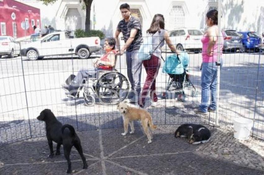 JORNADA DE ADOPCIÓN DE ANIMALES