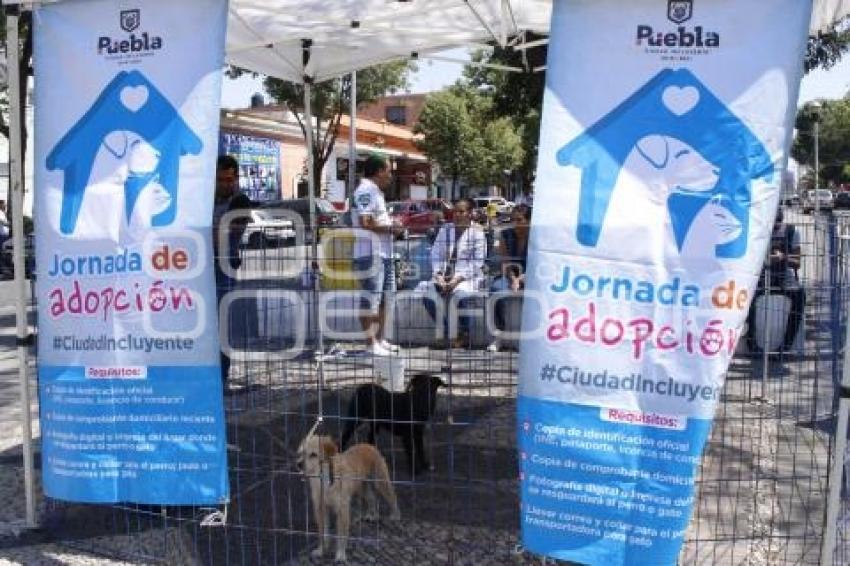 JORNADA DE ADOPCIÓN DE ANIMALES