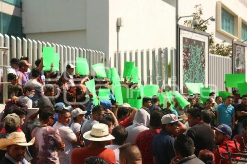 MANIFESTACIÓN . FISCALÍA