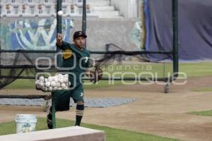 PERICOS DE PUEBLA . CHISPA GASTELUM