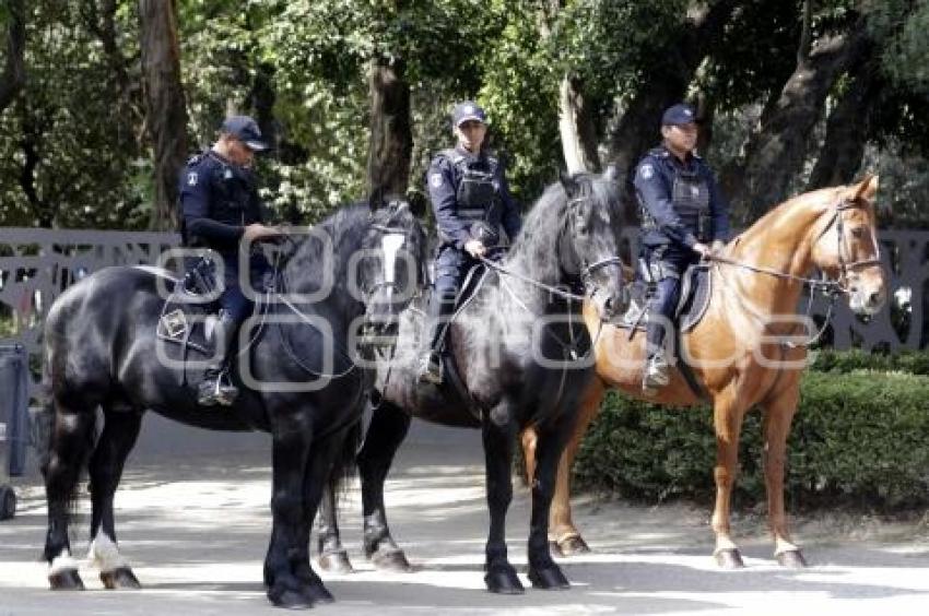 POLICÍA MONTADA