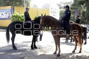 POLICÍA MONTADA